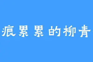 伤痕累累的柳青梅