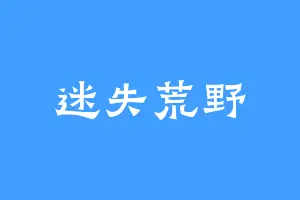 迷失荒野