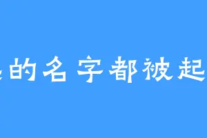 想起的名字都被起完了