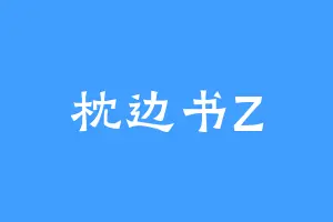 枕边书Z