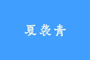 夏袭青