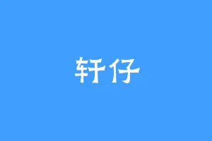 轩仔