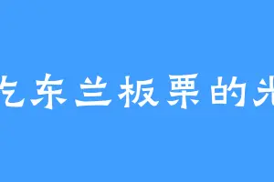 爱吃东兰板栗的光绪