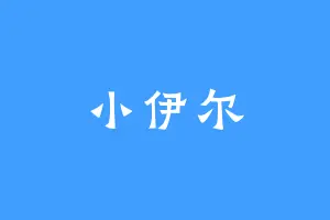 小伊尔