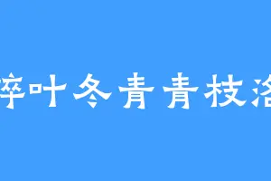 碎叶冬青青枝洛