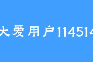大爱用户114514