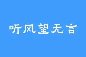 听风望无言