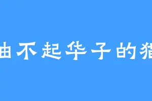 抽不起华子的猫