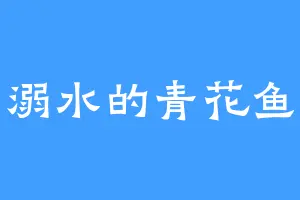 溺水的青花鱼