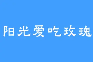 阳光爱吃玫瑰
