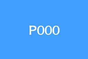 P000