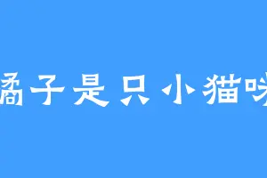 橘子是只小猫咪