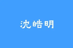 沈皓明