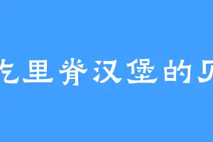 爱吃里脊汉堡的贝儿