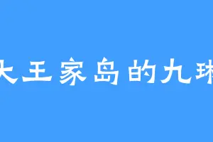 大王家岛的九琳