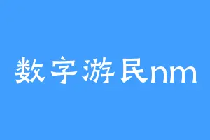 数字游民nm