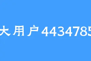 大用户4434785