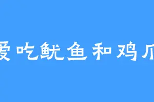 爱吃鱿鱼和鸡爪