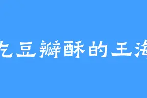 爱吃豆瓣酥的王海永