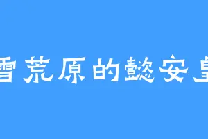 北雪荒原的懿安皇后