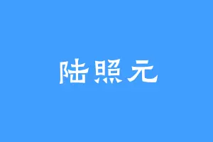 陆照元