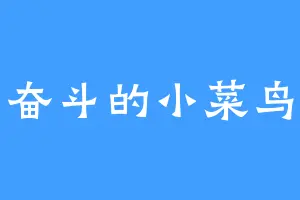 奋斗的小菜鸟
