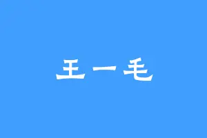 王一毛