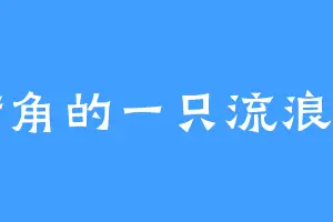 街角的一只流浪狗