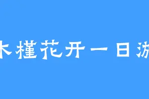 木槿花开一日游
