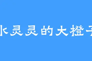 水灵灵的大橙子