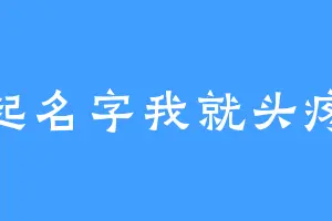 起名字我就头疼