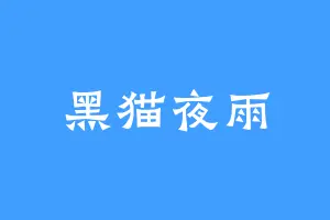 黑猫夜雨