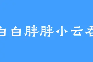 白白胖胖小云吞