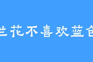 兰花不喜欢蓝色