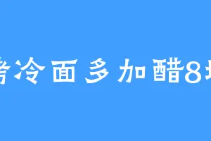 烤冷面多加醋8块