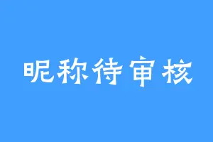 昵称待审核