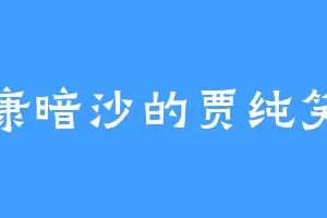 海康暗沙的贾纯笑道