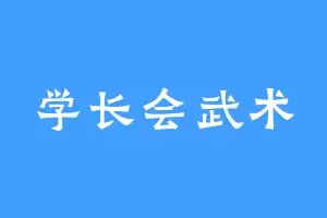 学长会武术