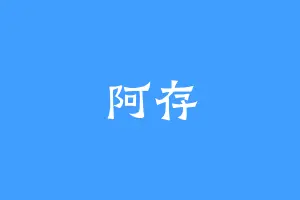 阿存