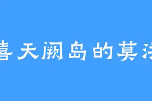 都喜天阙岛的莫洪智