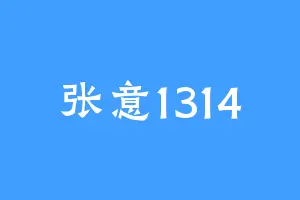 张意1314