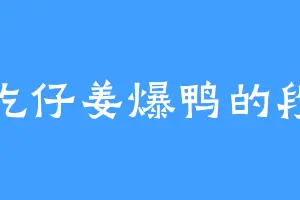 爱吃仔姜爆鸭的段柔