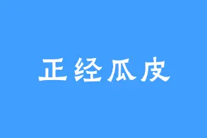 正经瓜皮