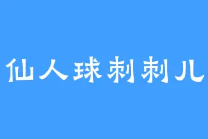 仙人球刺刺儿