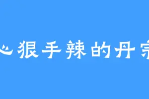 心狠手辣的丹宗