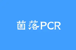 菌落PCR