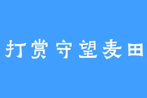 打赏守望麦田